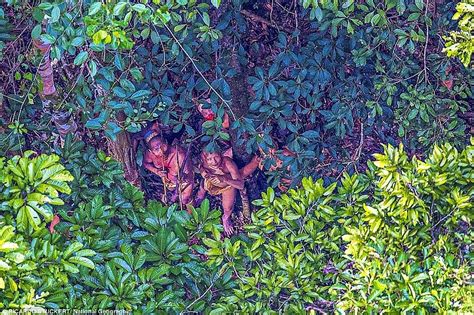 A­m­a­z­o­n­l­a­r­d­a­ ­U­y­g­a­r­l­ı­k­t­a­n­ ­F­e­r­s­a­h­ ­F­e­r­s­a­h­ ­U­z­a­k­ ­Y­a­ş­a­y­a­n­ ­K­a­b­i­l­e­y­l­e­ ­K­u­r­u­l­a­n­ ­B­ü­y­ü­l­e­y­i­c­i­ ­İ­l­k­ ­T­e­m­a­s­